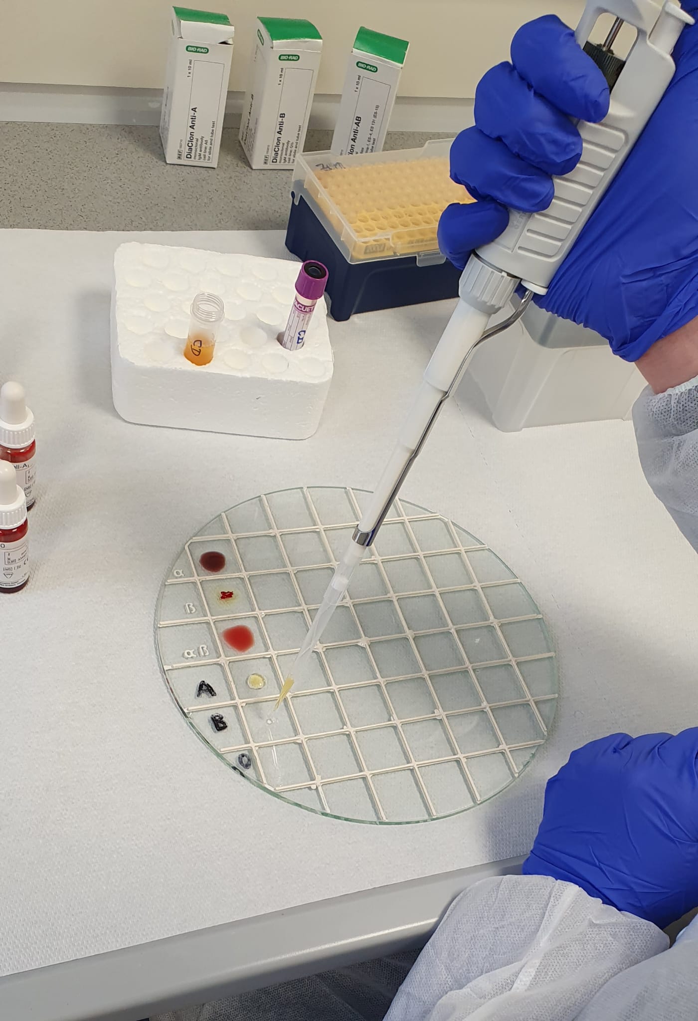 WhatsApp Image 2026 01 30 at 12.01.13