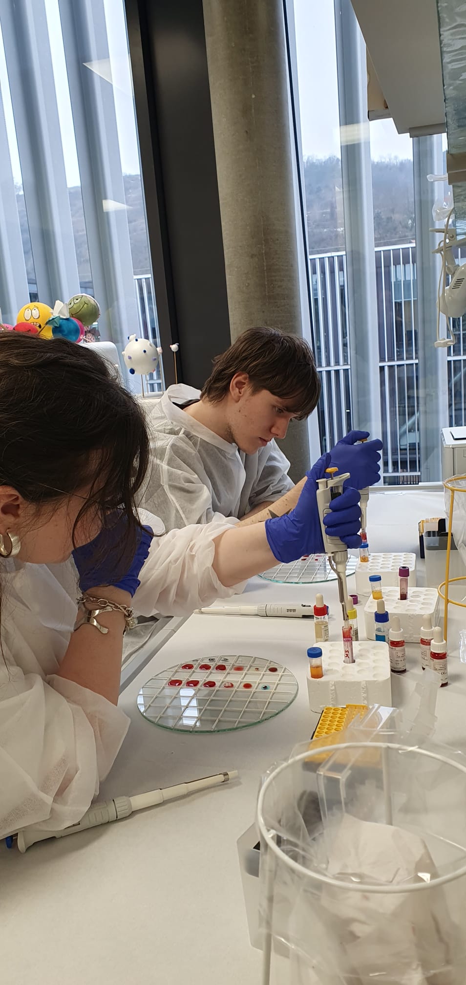 WhatsApp Image 2026 01 30 at 12.47.19