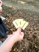 IMG4873web