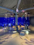 20251111105253461iOS